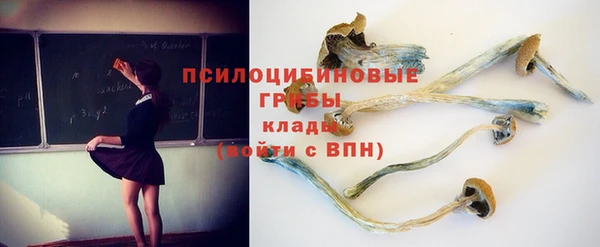 соль ск Алексеевка