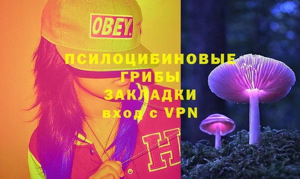 соль ск Алексеевка